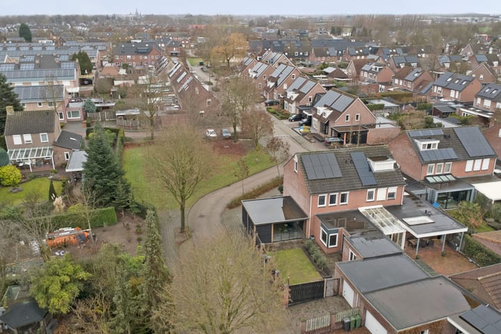 Foto 73 van Asperge 49