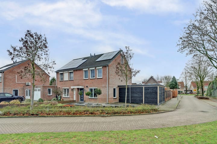 Foto 77 van Asperge 49