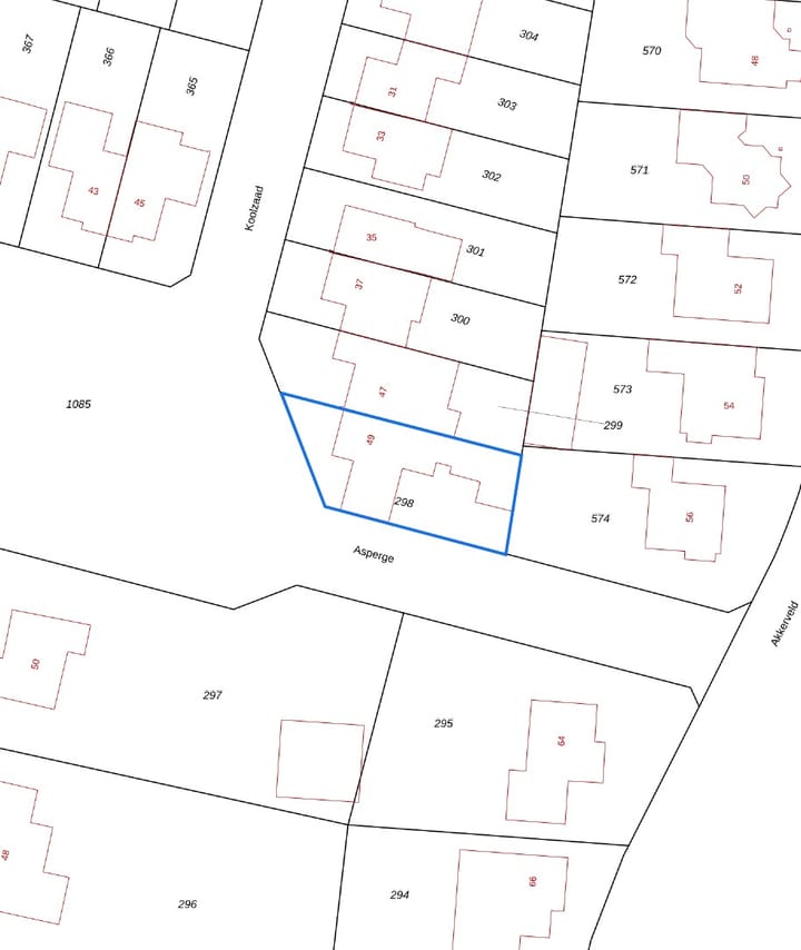 Foto 85 van Asperge 49