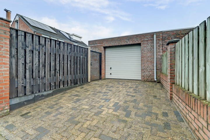 Foto 66 van Asperge 49