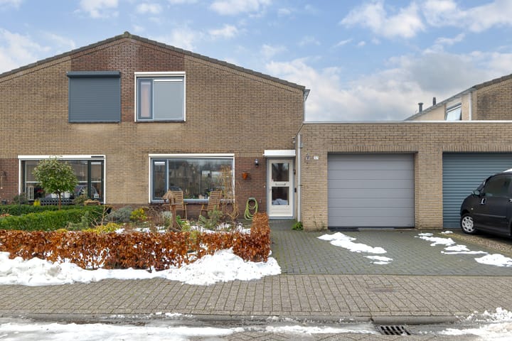 Foto 1 van Meerkoet 37