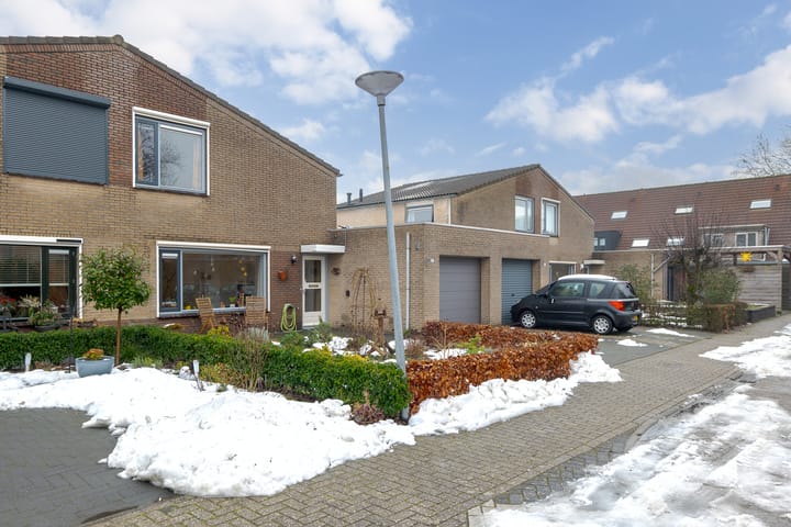 Foto 3 van Meerkoet 37