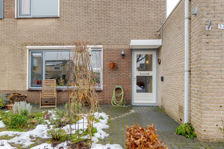 Foto 5 van Meerkoet 37