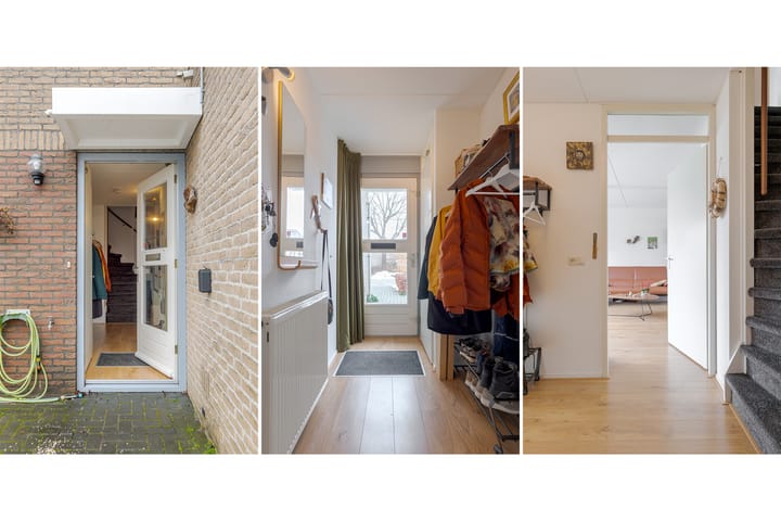 Foto 6 van Meerkoet 37