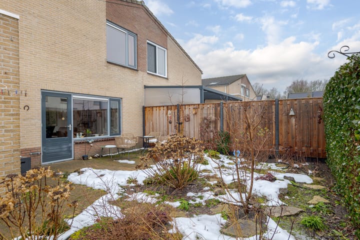 Foto 20 van Meerkoet 37