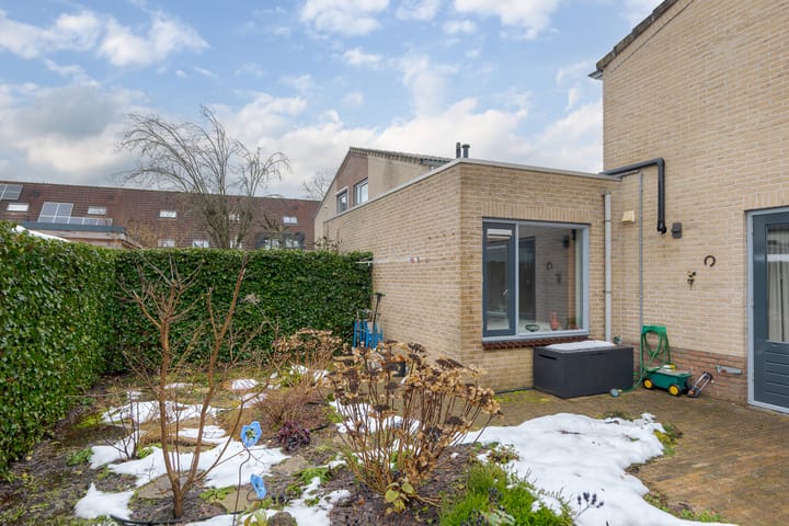 Foto 21 van Meerkoet 37