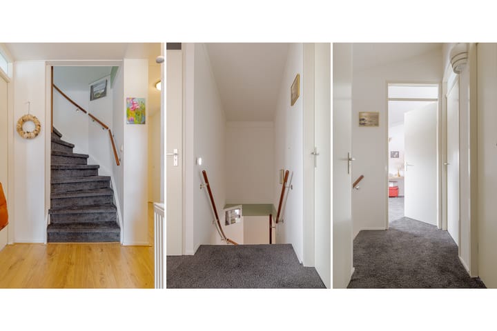 Foto 33 van Meerkoet 37