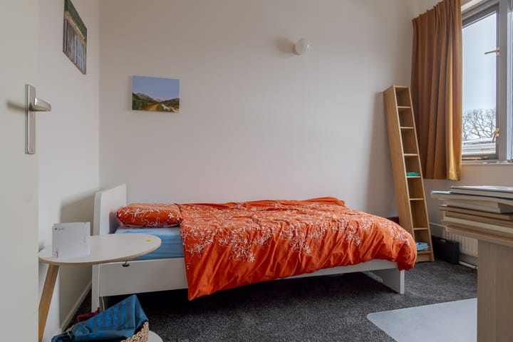 Foto 38 van Meerkoet 37