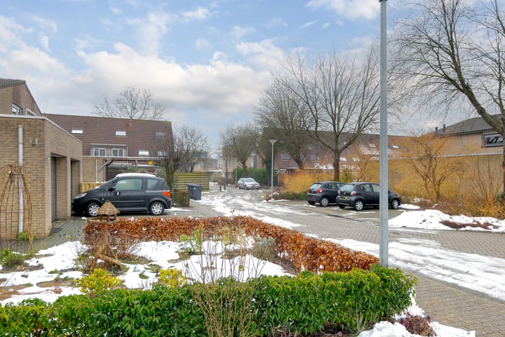 Foto 43 van Meerkoet 37