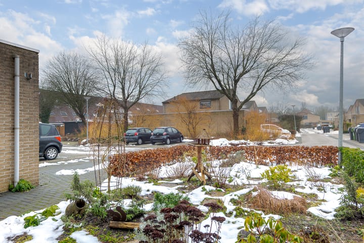 Foto 46 van Meerkoet 37