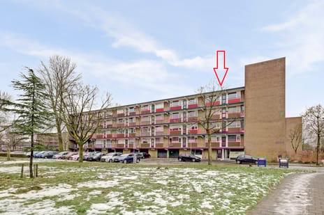 van Beresteynstraat 111 tertiary image