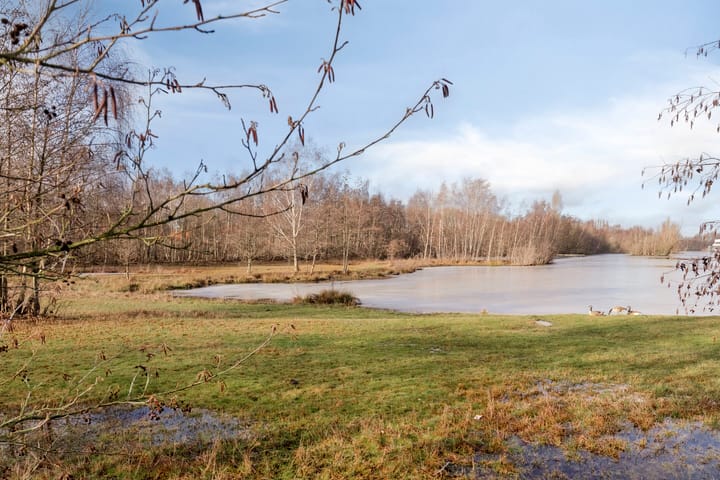 Foto 49 van Langendijk 136