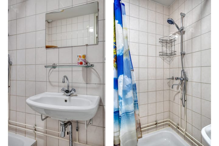 Foto 26 van de Distele 18