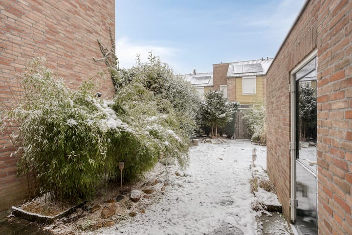 Foto 35 van de Distele 18