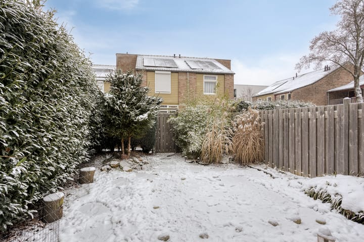 Foto 36 van de Distele 18