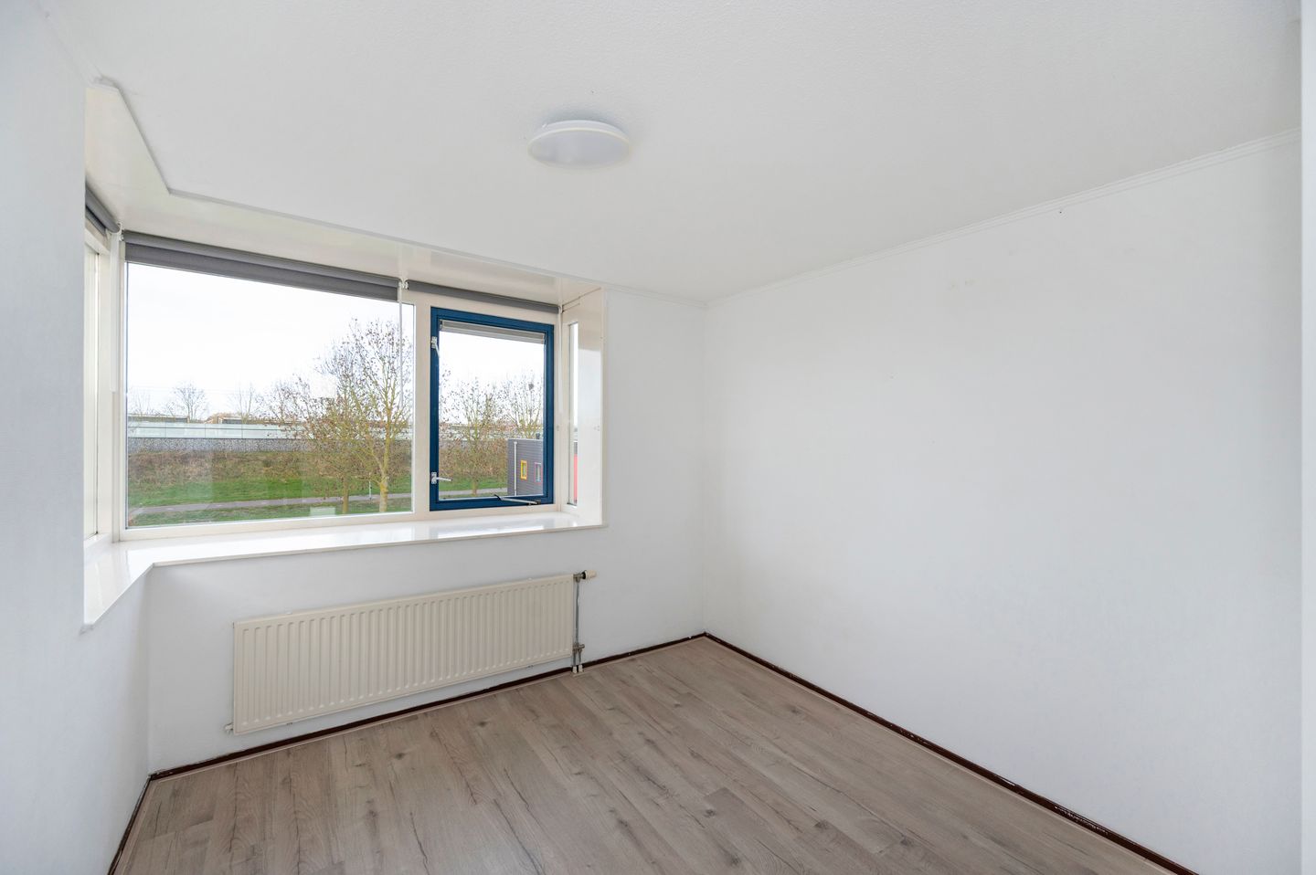 Photo 34 of Thérèse Schwartzestraat 40