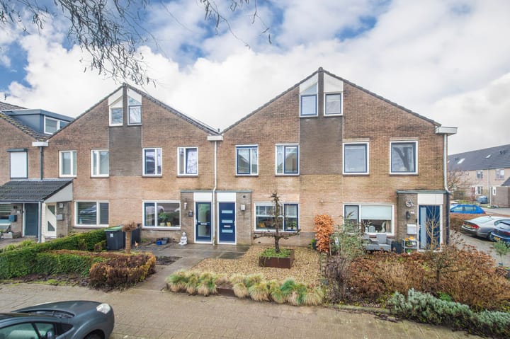 Golden Delicious 107