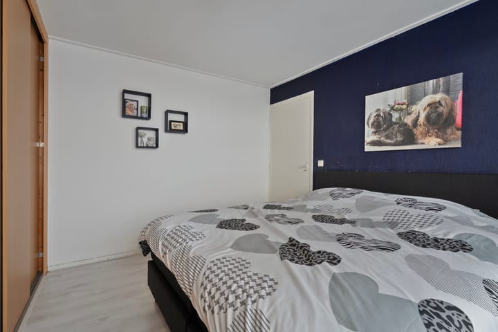 Foto 20 van D H van der Scheerstraat 35