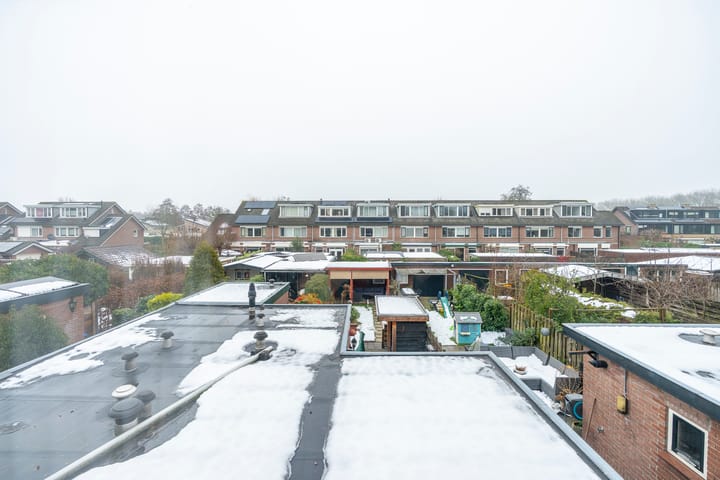 Foto 41 van Driehoekslaan 30