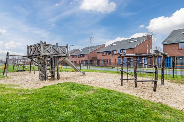 Foto 59 van Aardbeivlinder 133