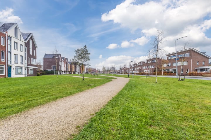 Foto 61 van Aardbeivlinder 133