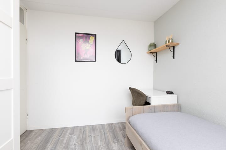 Photo 19 of de Vang 3