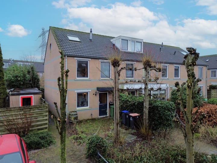 Photo 1 of Aalscholver 2