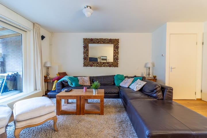 Photo 6 of Aalscholver 2