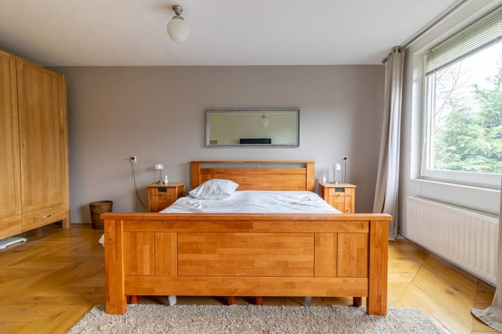 Photo 8 of Aalscholver 2