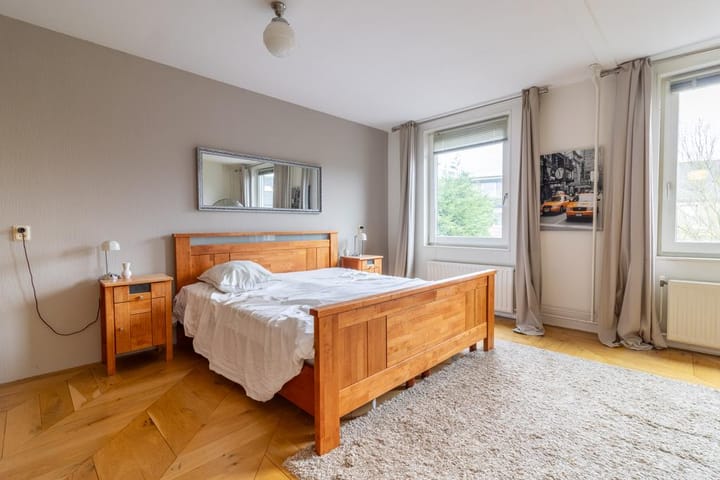 Photo 9 of Aalscholver 2