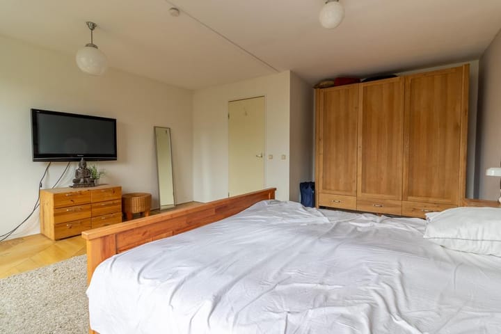 Photo 10 of Aalscholver 2