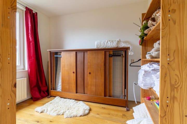 Photo 11 of Aalscholver 2