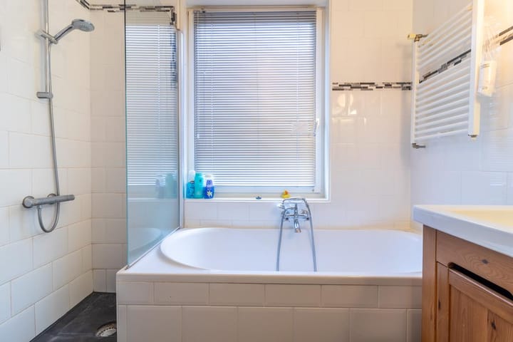 Photo 12 of Aalscholver 2