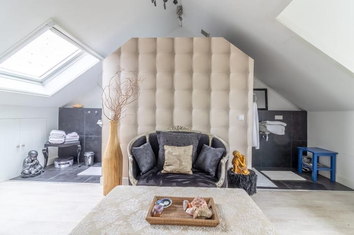 Photo 14 of Aalscholver 2