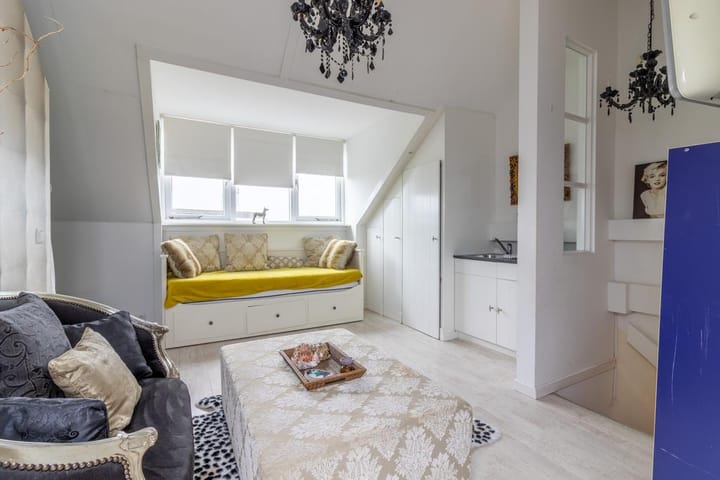 Photo 15 of Aalscholver 2