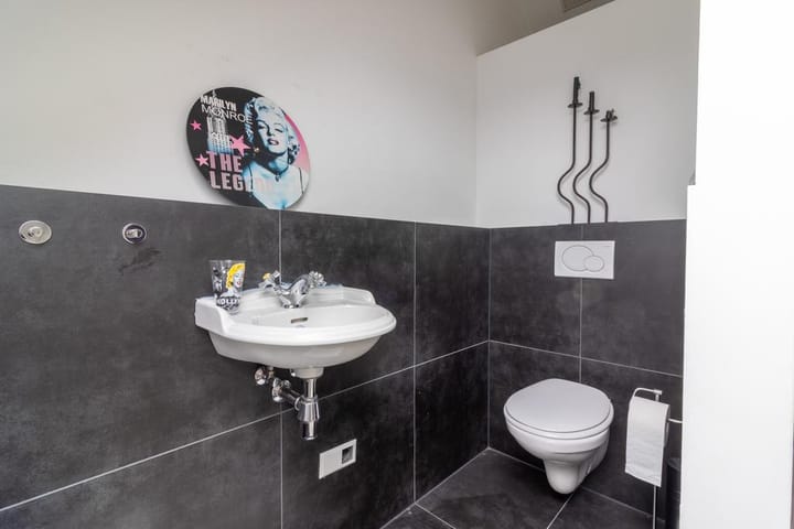 Photo 16 of Aalscholver 2