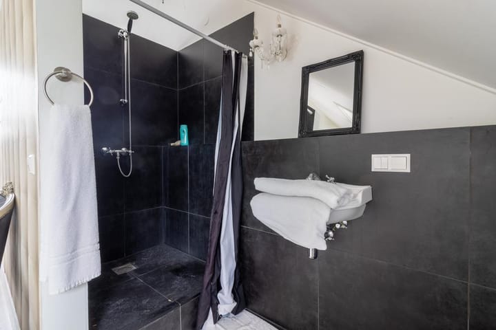 Photo 17 of Aalscholver 2