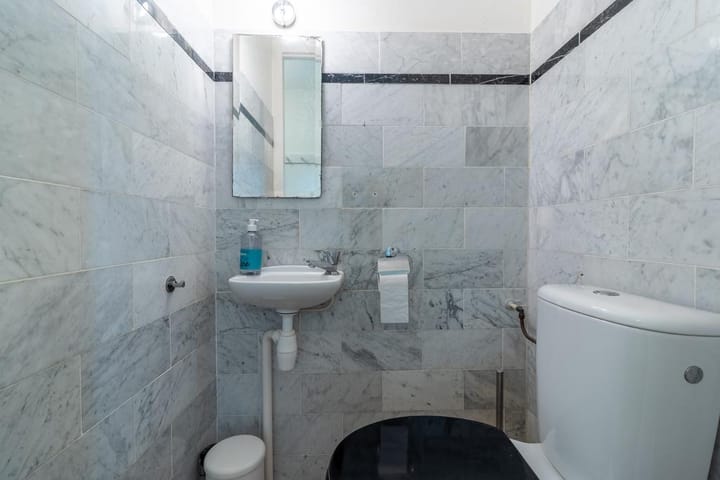 Photo 18 of Aalscholver 2