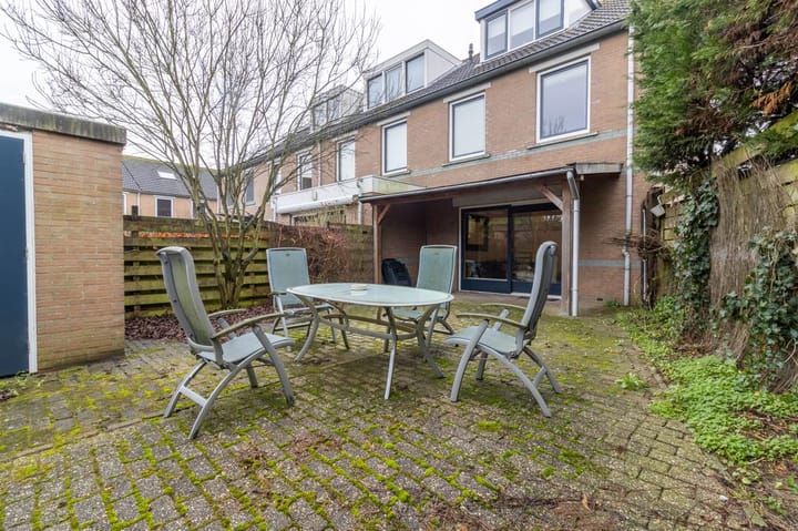 Photo 19 of Aalscholver 2