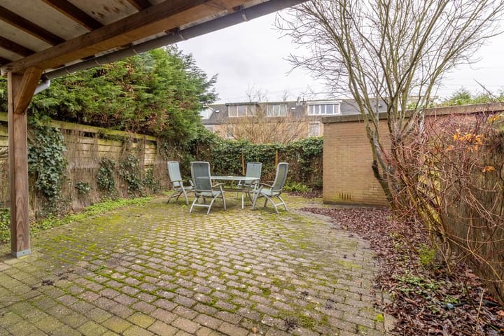 Photo 21 of Aalscholver 2