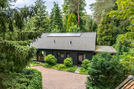 Laan van Laag Kanje thumbnail