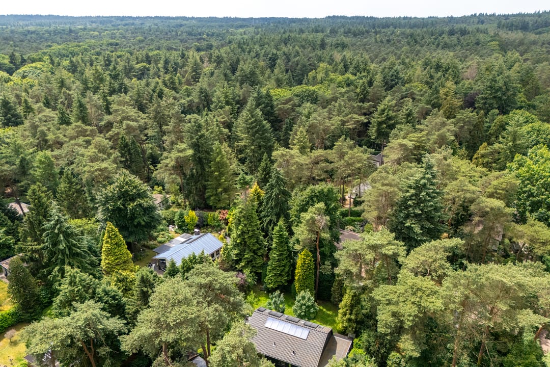 Photo 47 of Laan van Laag Kanje 72-R1