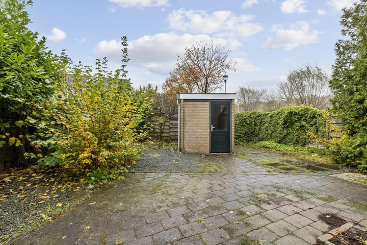 Foto 25 van Jac. P. Thijssepark 271