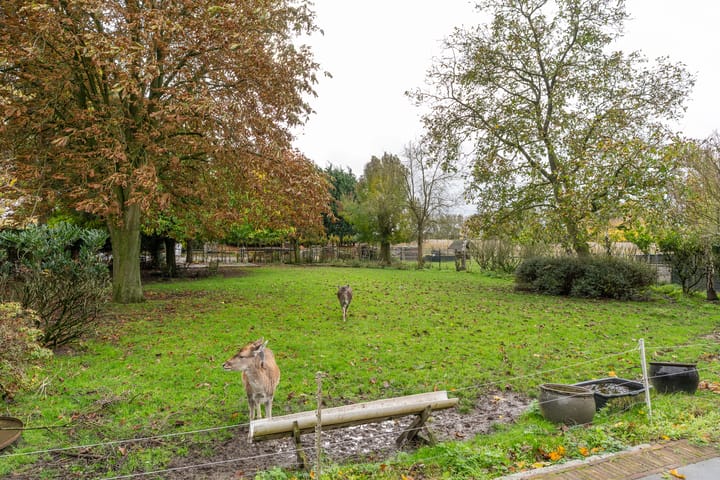 Photo 35 of H.C. de Jonghweg 33