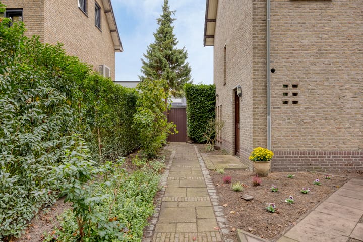 Photo 3 of Biesakkers 6