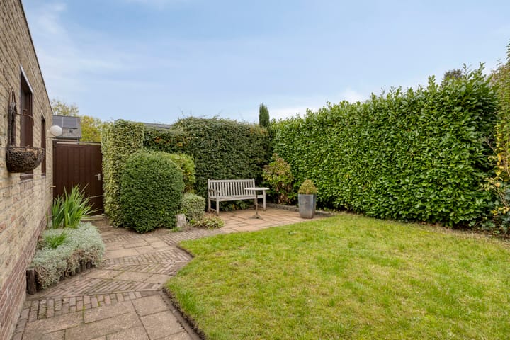 Photo 31 of Biesakkers 6