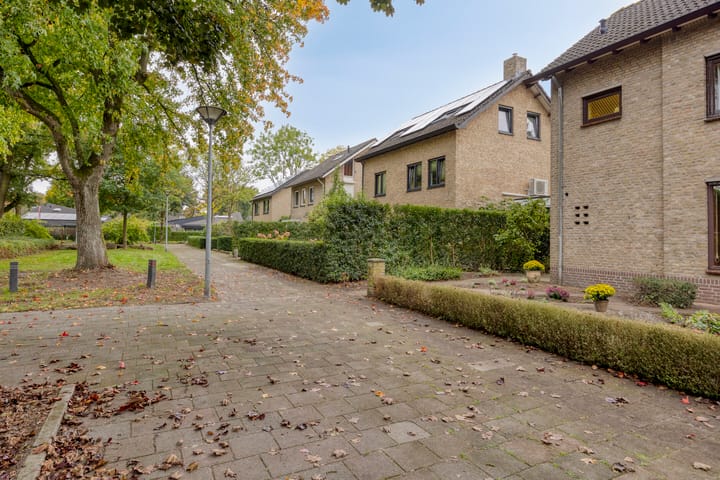 Photo 38 of Biesakkers 6