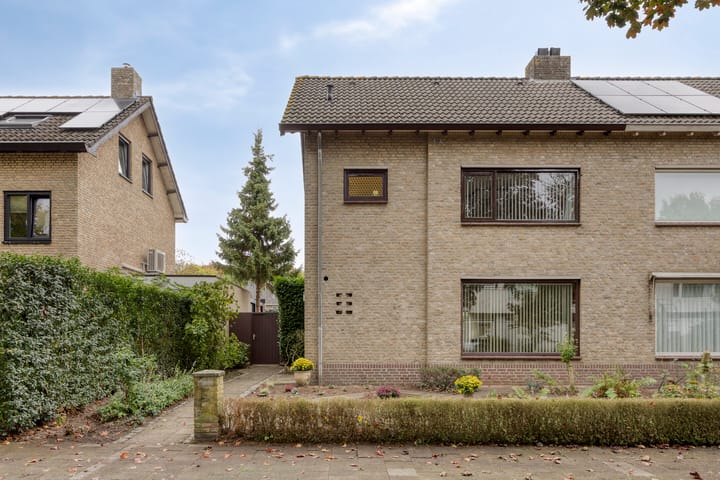 Photo 39 of Biesakkers 6