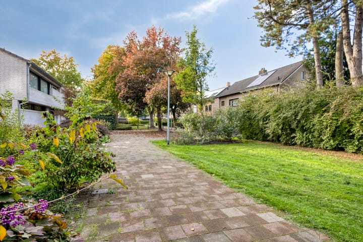 Photo 40 of Biesakkers 6