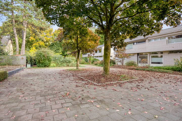 Photo 37 of Biesakkers 6